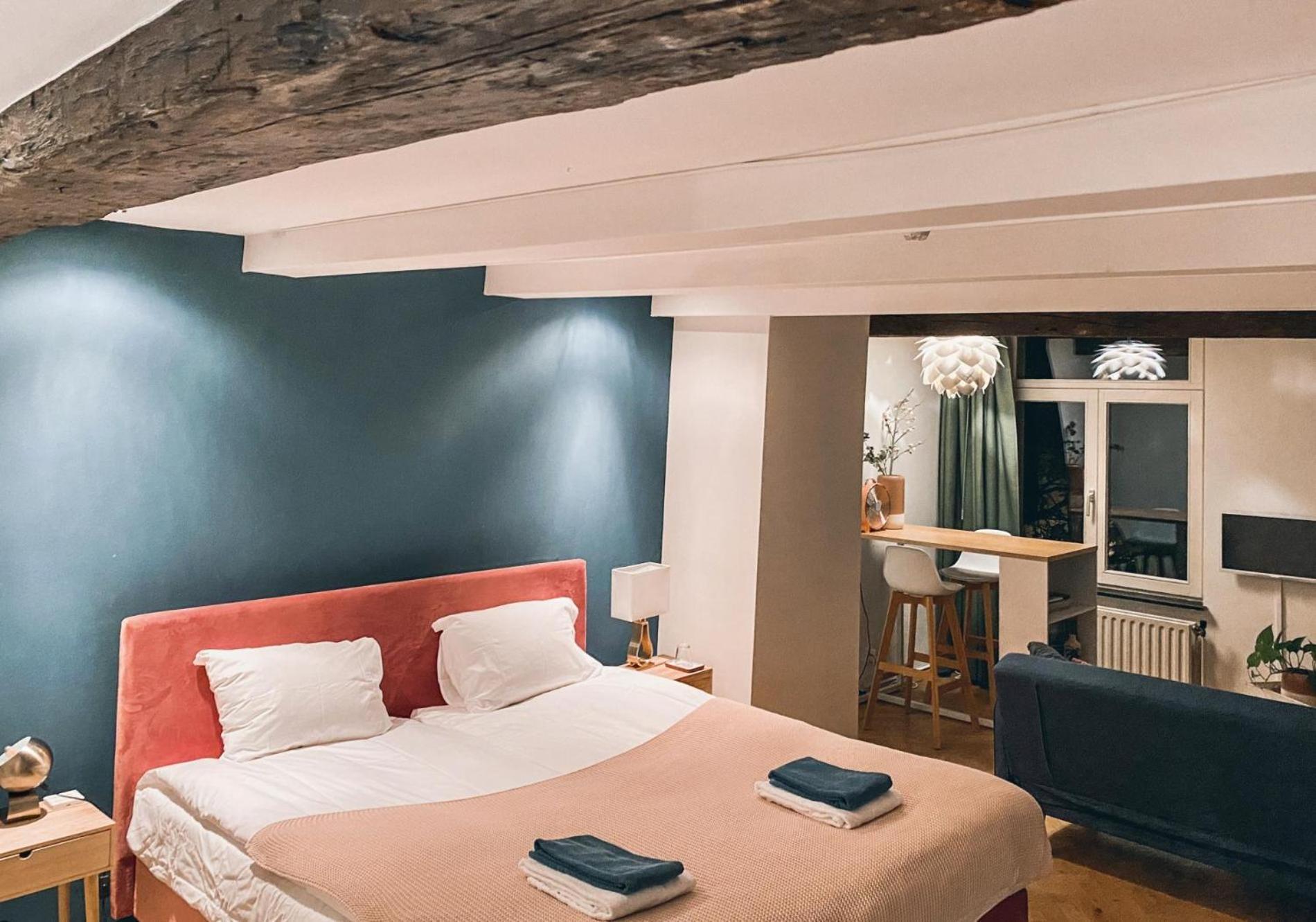 Luxurious Loft In Center Apartment Maastricht